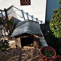 cuccia cane 50  euro