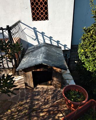 cuccia cane 50  euro