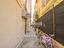 Immagine 18