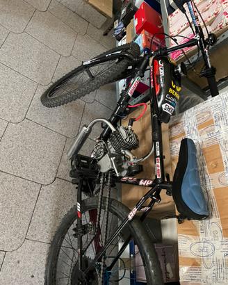 Bici a motore