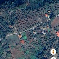 Terreno agricolo