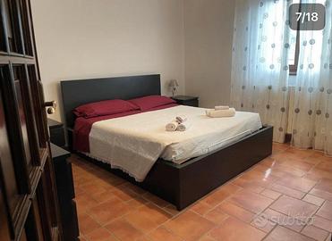 Dal Cappellaio Matto