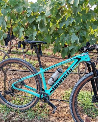 Mtb Bianchi Methanol cv rs 