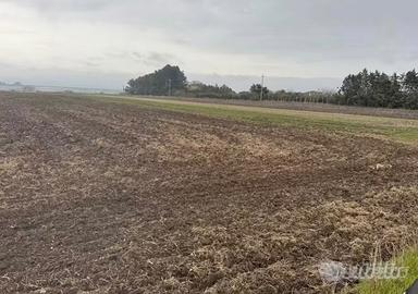 Terreno con pozzo (edificabile)