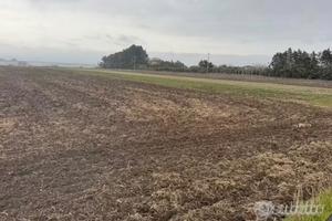Terreno con pozzo (edificabile)