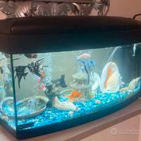 Acquario curvo
