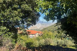 TER. AGRICOLO A PIMONTE