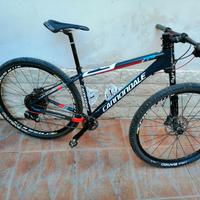 MTB cannondale