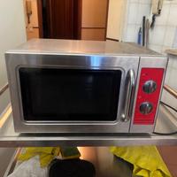 Microonde professionale