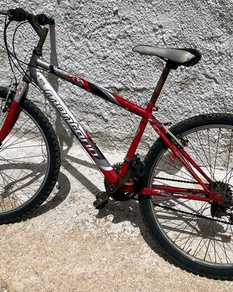 BICI MONTANA / MOUNTAIN BIKE / MARSALA / 50 EURO