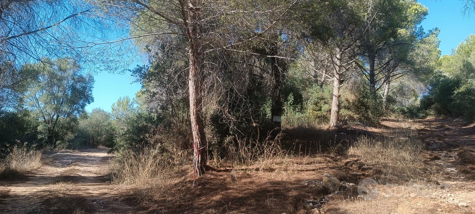 Terreno a Follonica - Vista 3