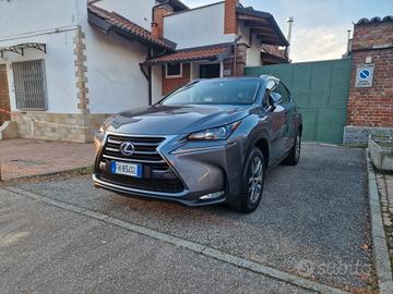 Lexus NX 300 hybrid 2.5 155CV AUTOMATICA, Telecame