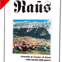 Raus  libro