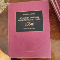 Atlante  di anatomia
