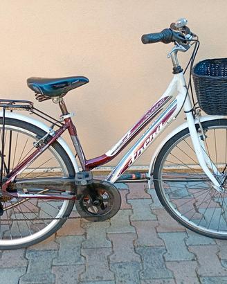 bici telaio in alluminio ruote 28