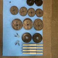 Manubri e pesi in ghisa Domyos palestra