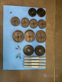 Manubri e pesi in ghisa Domyos palestra