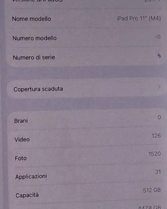 I pad pro m4