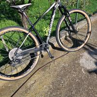 mtb specialized 29 taglia s