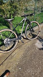 mtb specialized 29 taglia s