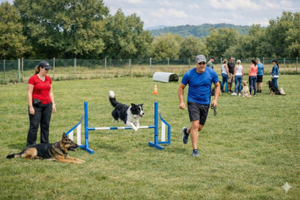 Terreno già recintato