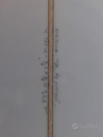 Sport surf longboard