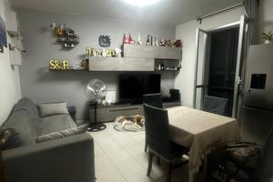 appartamento modena zona emilio pò 