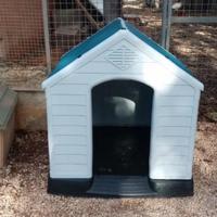 Cuccia cane