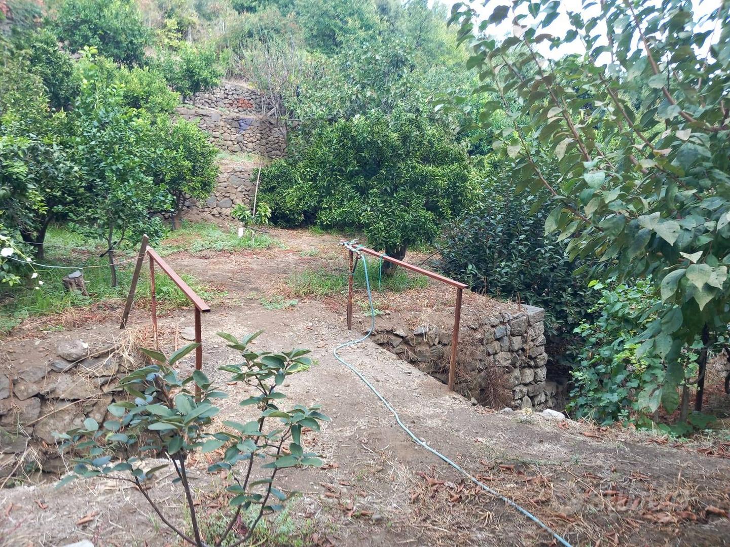 Terreno - Mascali - Vista 4