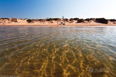 ULTIMISSIMO MINUTO Vacanza in Villa Lilly S.M.Foca