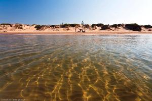 ULTIMISSIMO MINUTO Vacanza in Villa Lilly S.M.Foca