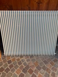 Termosifone in ghisa