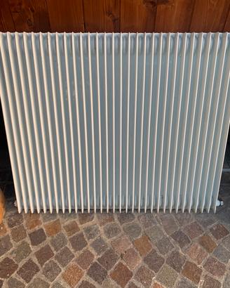 Termosifone in ghisa