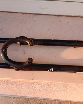 forcella 29"