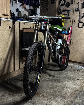 trek session 8