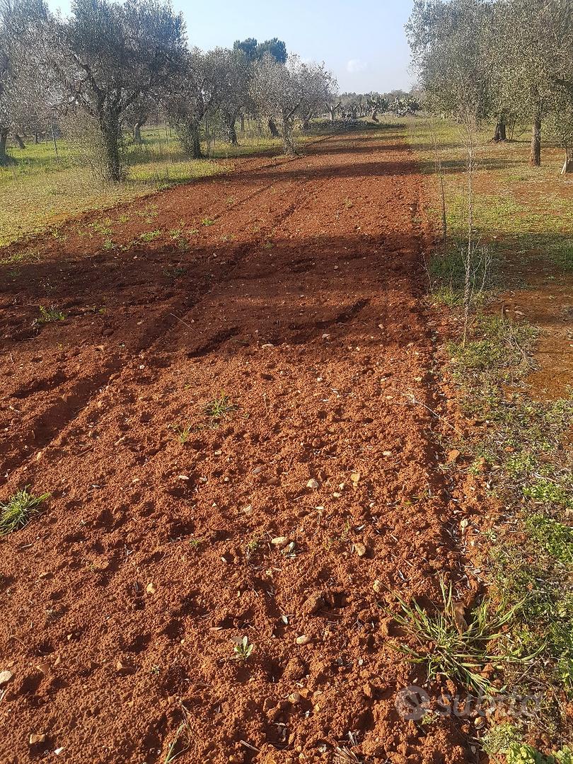 terreno 62 aree - Vista 3