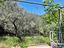 Immagine 22