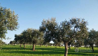 Rustico / Casale di 450 m² con più di 5 locali a P
