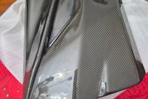 fianchetti in carbonio streetfighter 1098