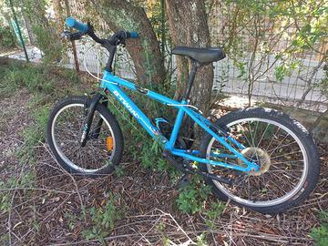 bicicletta