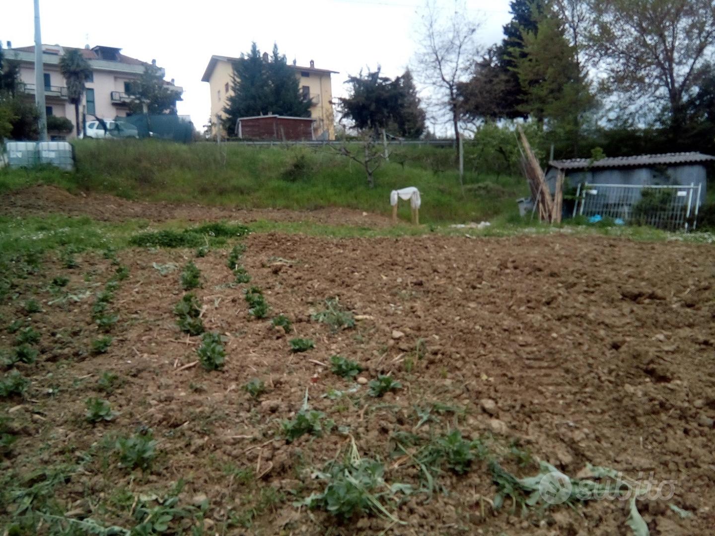 Terreno agricolo - Altro