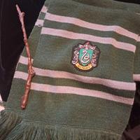 Harry  Potter carnevale