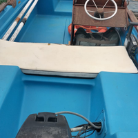 Barca con motore Mercury 25