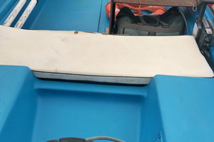 Barca con motore Mercury 25