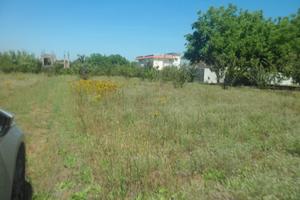 Terreno agricolo di 6.300 mq fronte strada