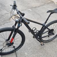 Mtb Focus Raven 29 in carbonio M