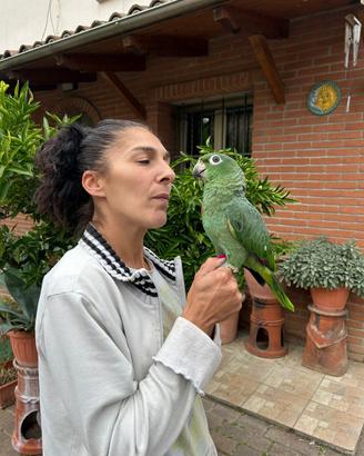 Baby Pappagallo Amazzone Farinosa