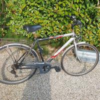 Bicicletta da uomo citybike Esperia