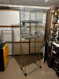 Gabbie cova 65 con carrello espositore