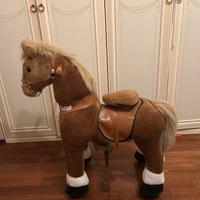 Pony cycles a rotelle